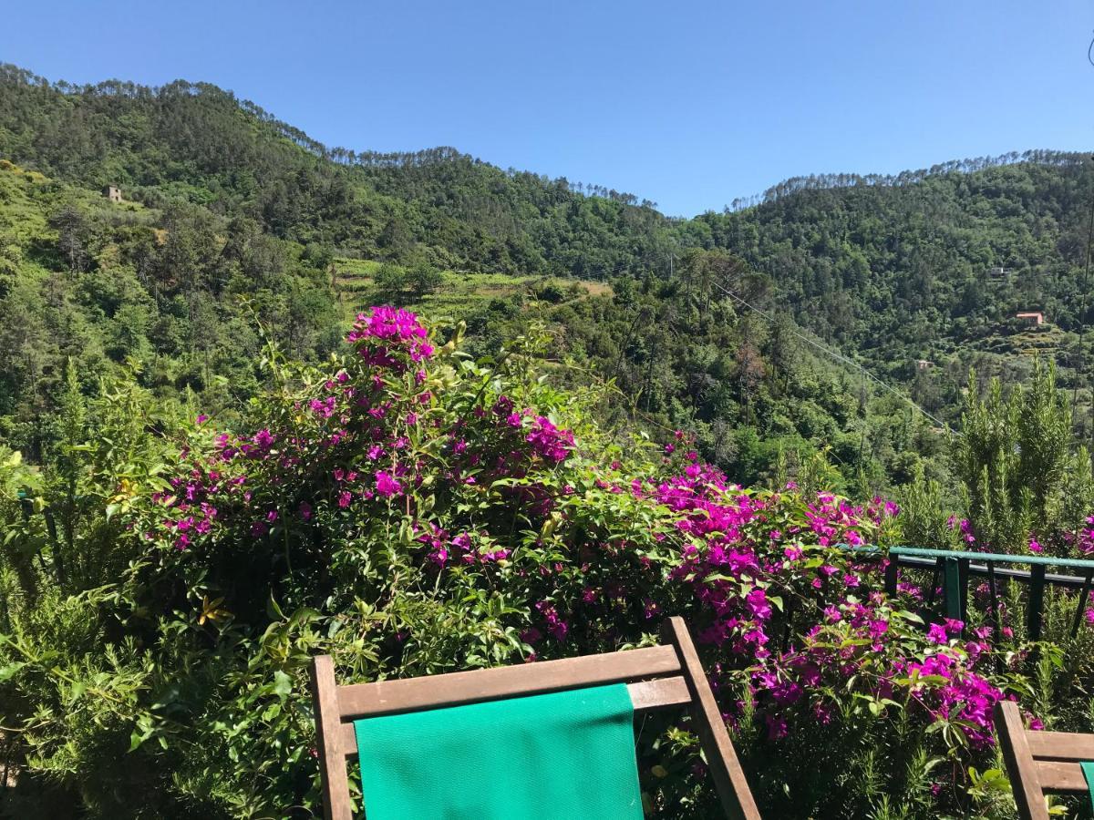 Cottage La Terrazza 레반토 외부 사진
