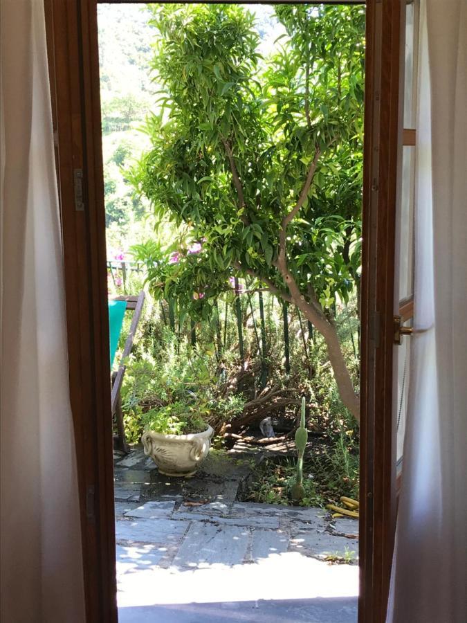 Cottage La Terrazza 레반토 외부 사진