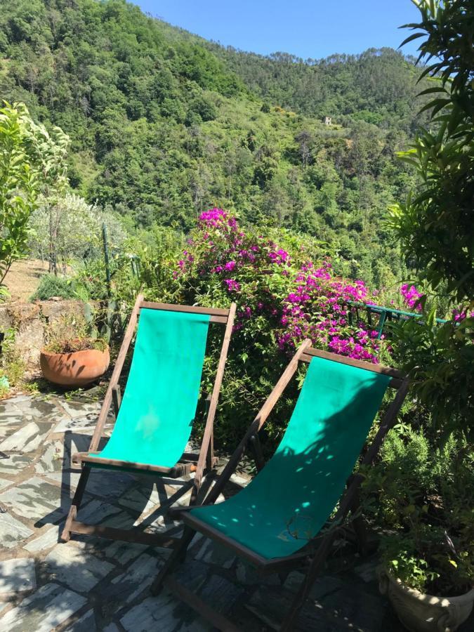 Cottage La Terrazza 레반토 외부 사진