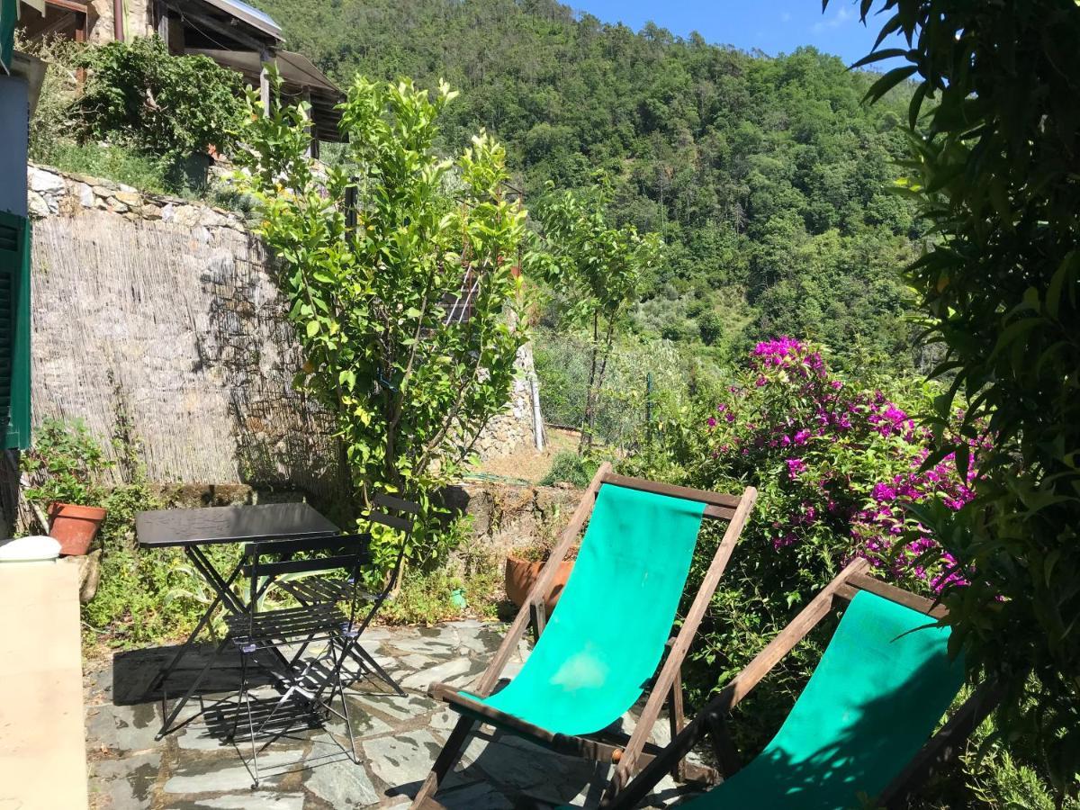 Cottage La Terrazza 레반토 외부 사진