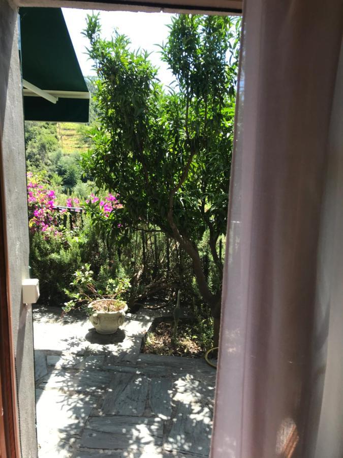 Cottage La Terrazza 레반토 외부 사진