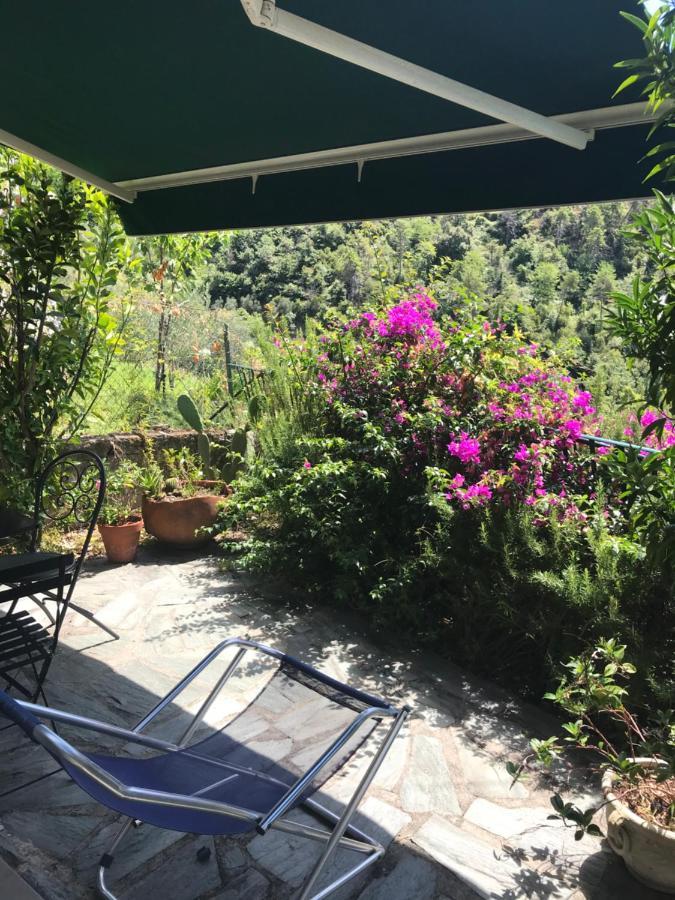 Cottage La Terrazza 레반토 외부 사진
